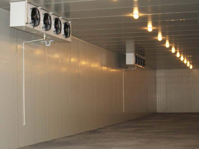 湖南长沙宏国机电设备公司,湖南冷库,长沙冷库,冷藏库,冷冻库,冷冻机组,种子冷库,医药冷库,食品冷库,专业冷库工程厂家,专业制冷设备公司